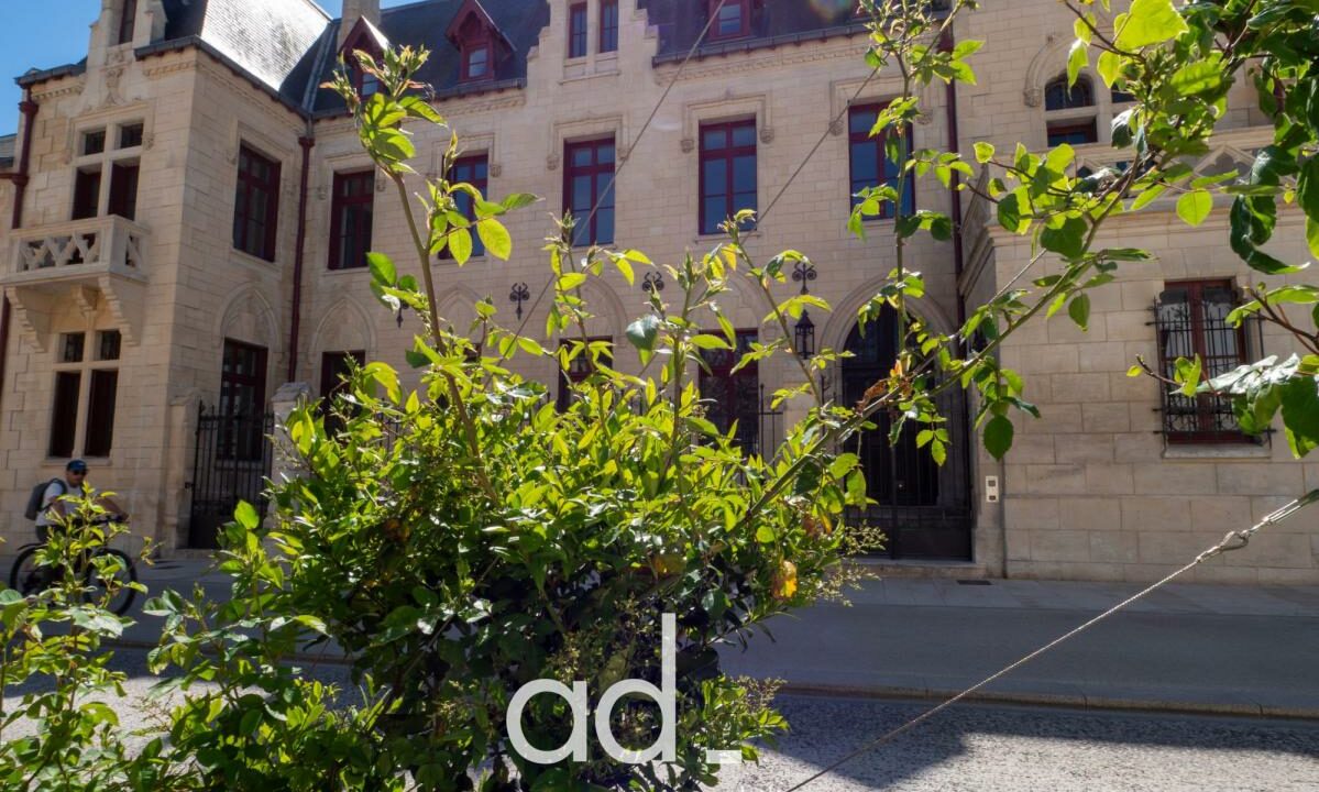 LA3496-ADIMMOBILIER-09042026-022421-13